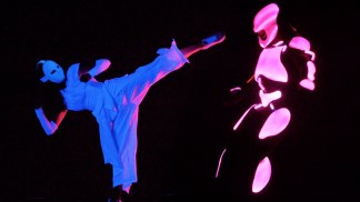 "Yoshimi Battles the Pink Robots"