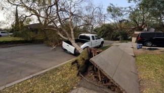 Viewer Images: Wind Damage