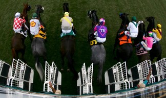 Del Mar Racing and Concerts