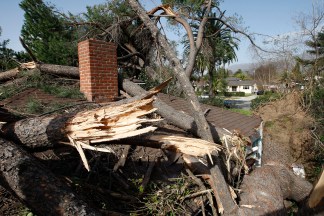 LA Wind Damage Images