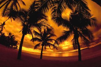 Golden Getaways