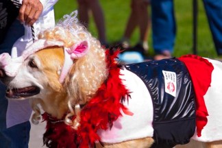 Howl-O-Ween Party