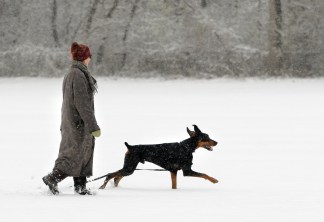 Let It Snow, Let It Snow