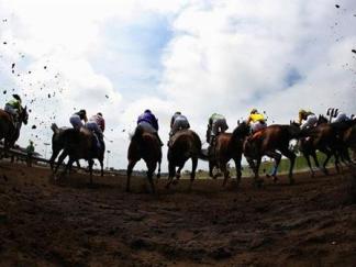 Betting On New Gambling Site