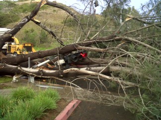 Winter Storm Damage