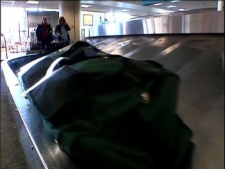 Bedbugs Turn up at Lindbergh Field