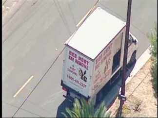 Bee Swarm Attacks Couple in Lemon Grove