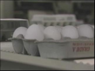 Customers Get Egg-Recall Robo Calls