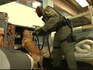 Dogs Sniff Out Smart Phones
