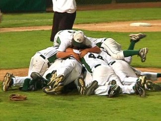 Final Out: Park View Little League
