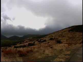 High Wind Warning Issued