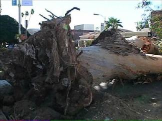 High Winds Cause Damage Across County