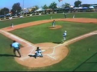 Little League Fever
