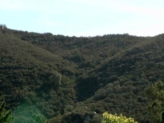 Merriman Mountains Off for Now