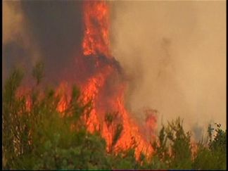 Old Fire Moved Quickly: Witness