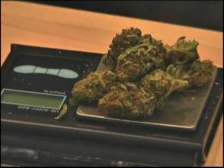 Pot Ring Suspects Appear in Court