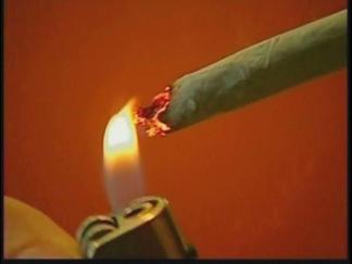 Prop 19 Debate: Legalizing Pot