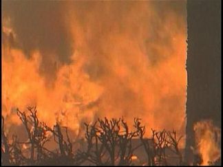 Settlement Reached in 2007 Wildfires