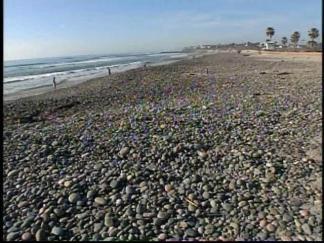 State to Investigate Carlsbad Cancer Concerns