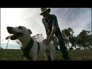 Stem Cell Treatments Turn Back Clocks on Pet's Lives