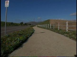 Teen Girl Fights Off Attacker: Cops