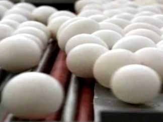 Egg Recall Rolls On