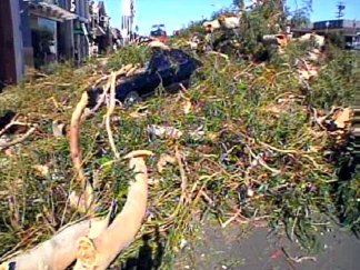 Damaging Winds Sweep County
