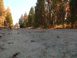 Holiday Snow Falls on Palomar Mountain
