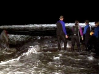 Images: Sperm Whale Washes Ashore in La Jolla