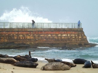 Cops Ask La Jolla Protestors to Be Civil 