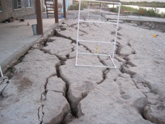 Shaken Families Return With Scary Quake Story, Pics