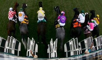 Del Mar Racing and Concerts