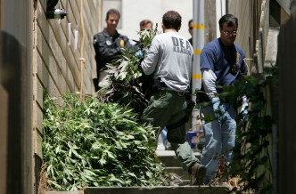 The Confused State of Pot Law Enforcement