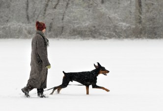 Let It Snow, Let It Snow