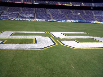 Fans Chatter at Seau Memorial