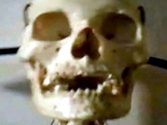 Box of "Halloween Decorations" Turns Out to be Real Skeleton