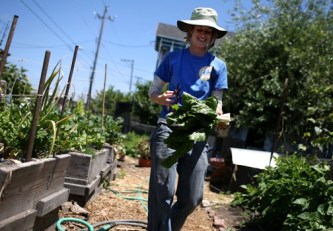 Scientist Cultivating Crops That Aren't As Thirsty