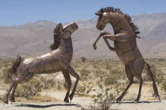 Road Trip to the Desert