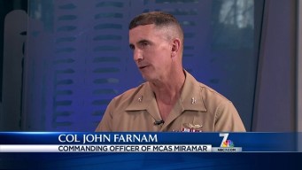Colonel Responds to Grounded Blue Angels