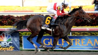 The World's Top Horses Race for a Shot at the Elusive Triple Crown