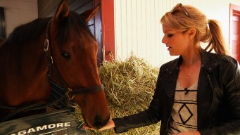 Find Out What It Takes to Breed a Winner at Sagamore Farms