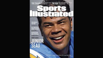Seau Never Let on He Was Hurting: Report