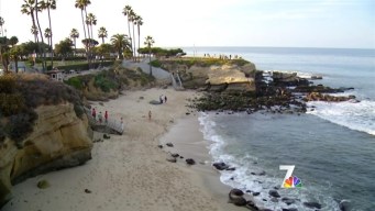 SD Explained: La Jolla Smell