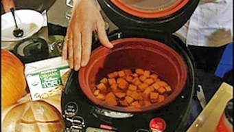 The Gourmet Experience 2011