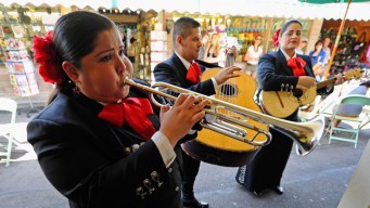 Where to Celebrate Cinco de Mayo