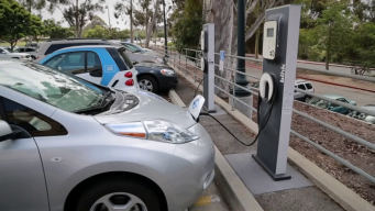Locals Lead Pack in Electric Car Use
