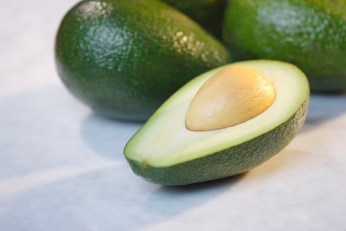 Fruit Fly Hanky-Panky Could Threaten Avocado Crop