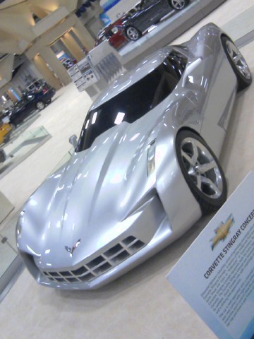 Auto Show Fans Get Their Motors Running