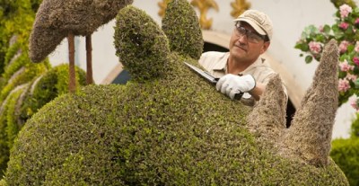 A Disneyland Tour for Greenery Buffs