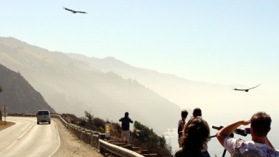 California Condor Viewing Tour